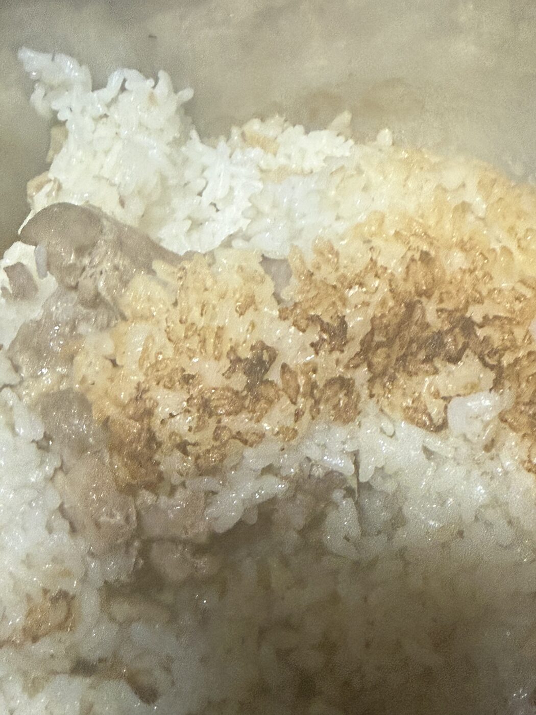 焦げは体に悪いのか｜鍋底にできた鶏肉飯のおこげ